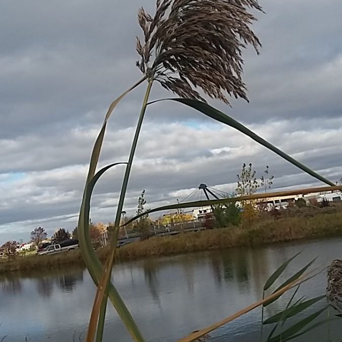 Réalisation modèle