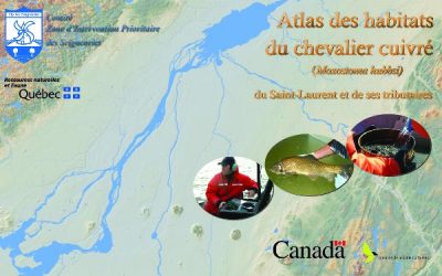 Atlas des habitats du Chevalier cuivré (Moxostoma hubbsi) du Saint-Laurent et de ses tributaires (2006)