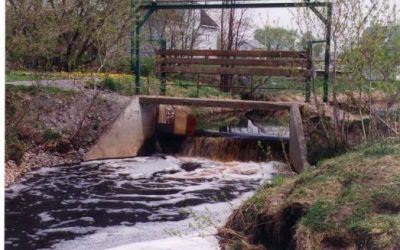 La gestion intégrée des barrages privés de la rivière Saint-Jean pour la restauration de la diversité biologique (2005)