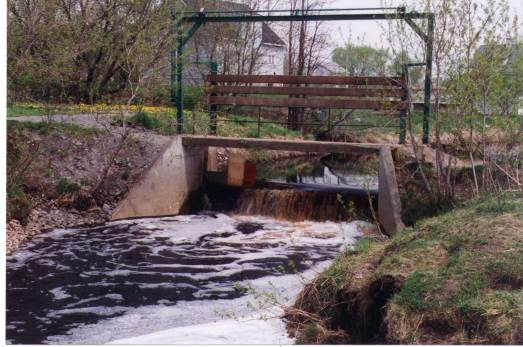 La gestion intégrée des barrages privés de la rivière Saint-Jean pour la restauration de la diversité biologique (2005)