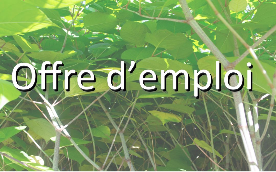 Offre d’emploi – Chargé(e) de projets