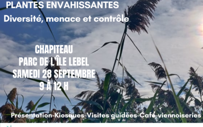 Café-causerie ~ Plantes envahissantes